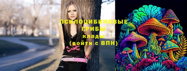 гидропоника Алзамай