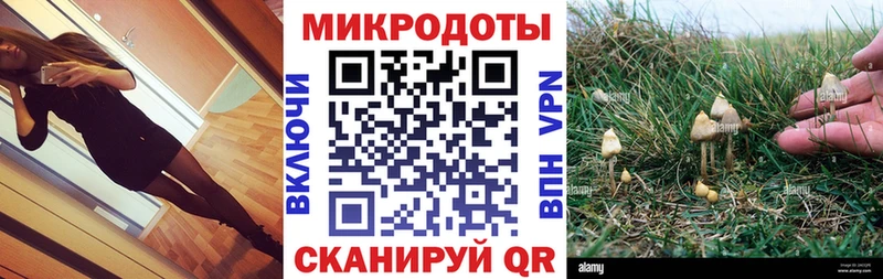 Псилоцибиновые грибы Psilocybe  где купить наркотик  OMG ссылка  Байкальск 